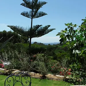 Carpe Diem Le Lavandou